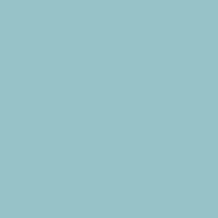 BLEU DRAGEE (INTERNO) - BU0779