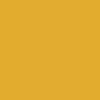 YELLOW - 558