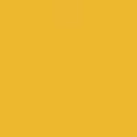 SUPER BRIGHT YELLOW - 576