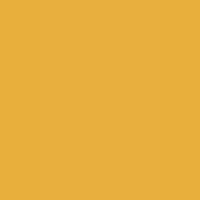 SOLAR YELLOW - 631