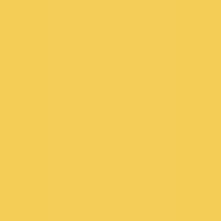 YELLOW (PAG.836/MAZ.3) - J5