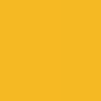 BOLD YELLOW - SY