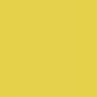 BRIGHT YELLOW - 478G